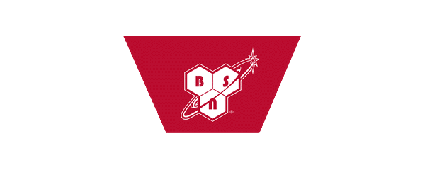 Logo bsn (inicio 2026)